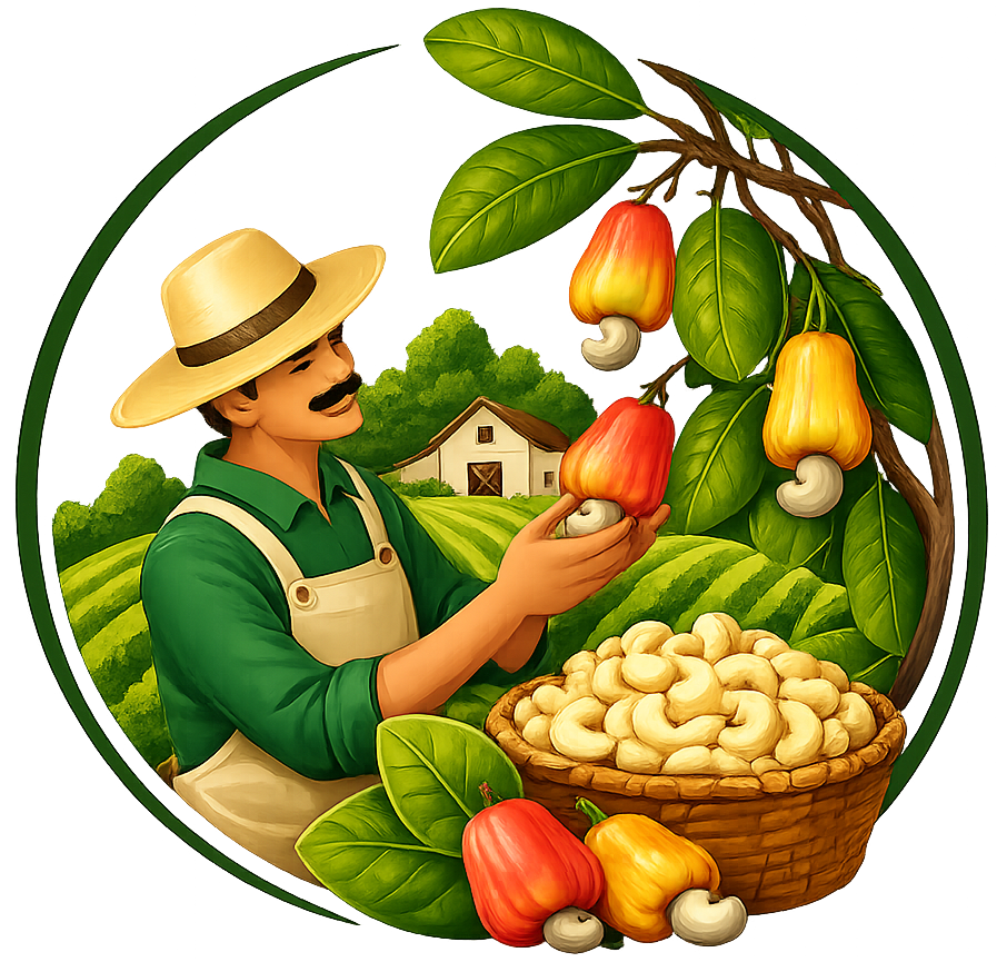 Export Icon