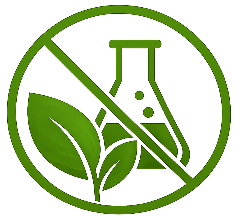 Export Icon